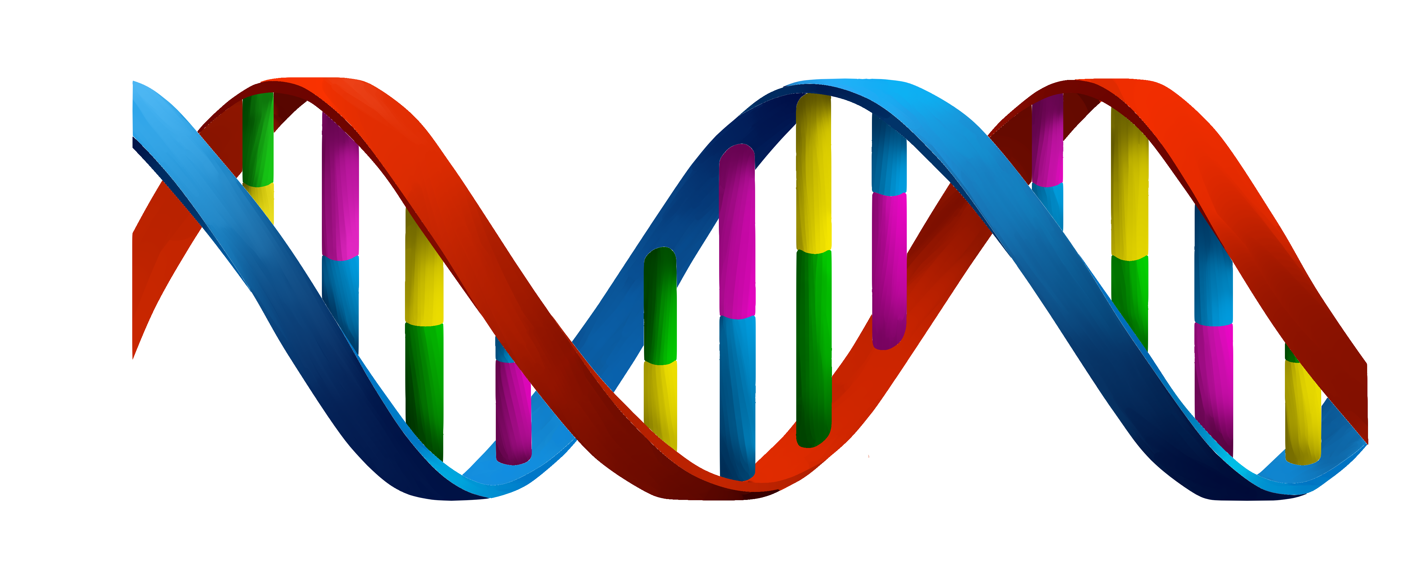 Un “ménage à trois” contro le mutazioni genetiche