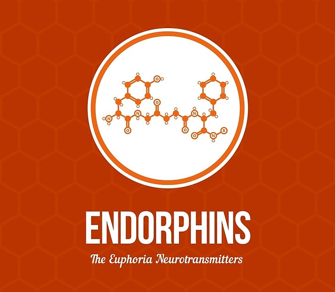 endorfine