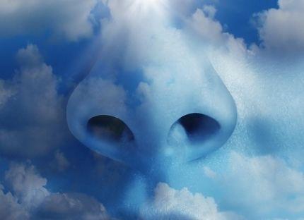 La memoria si respira: come si ricorda secondo Bergson e Platone?