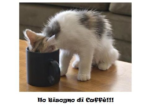 avere bisogno di caffè