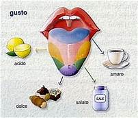 senso del gusto
