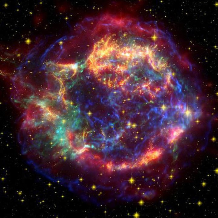 Transizione biotica Thanosiana: una sesta estinzione di massa potrebbe davvero salvare l’umanità?